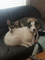 20191130_132601.webp