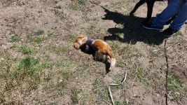 20240501_131438.webp