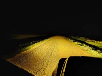 Tremor Fogs.webp