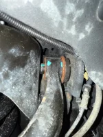 IMG_3410.webp IMG_3410.webp