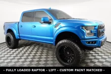 raptorpaintmatched.webp