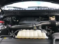 Stock Coolant .webp