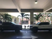 Tremor vs TRX 2.webp