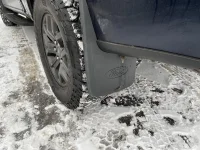 Mudflap.webp