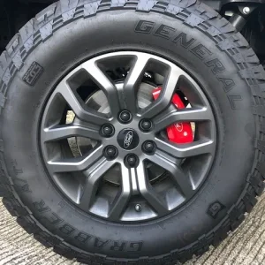 Gorilla lugs 1.jpg