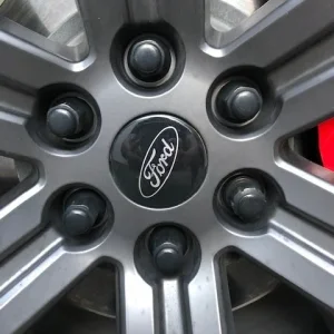 Gorilla lugs 2.jpg