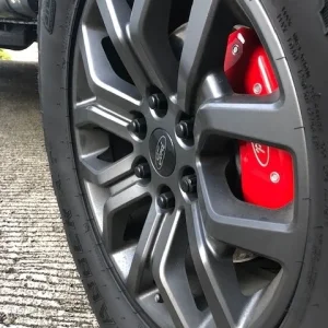 Gorilla lugs 3.jpg