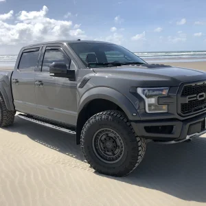 Raptor.jpg