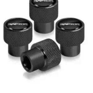 Valve Stem Raptor.jpg