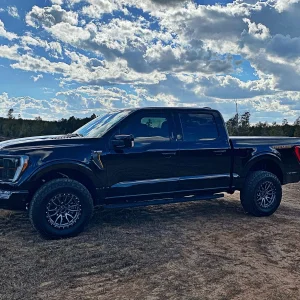 Media '517408F2-E646-44CD-9136-F1EC01F8EA82.jpeg' in category 'F150 Tremor Tremor of the Month Entries'