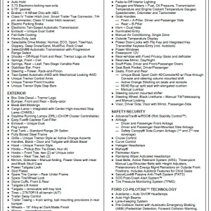 Tremor Order Guide Page 1.jpg