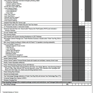Tremor Order Guide Page 4.jpg