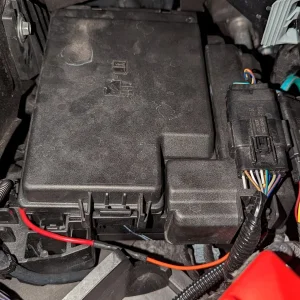 PXL_20231014_010121424.jpg