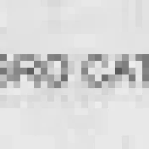 1698088909427.png
