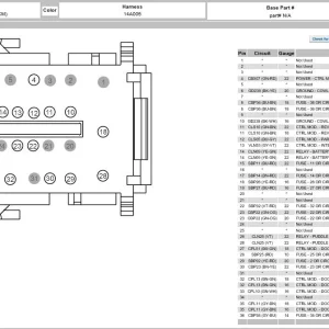IMG_1528.jpeg