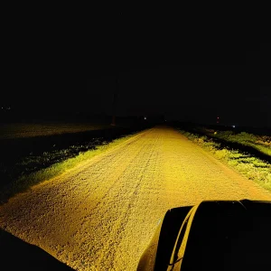 Tremor Fogs.JPG