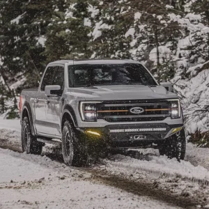 2024.04.30 Tremor (1)e.jpg