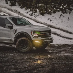 2024.04.30 Tremor (11).jpeg