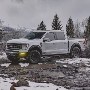 2024.04.30 Tremor (12).jpeg