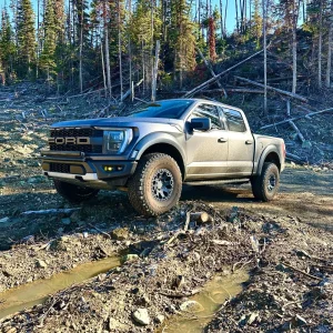 raptor.jpg