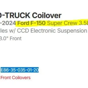 f150ProTruckCoilover.JPG