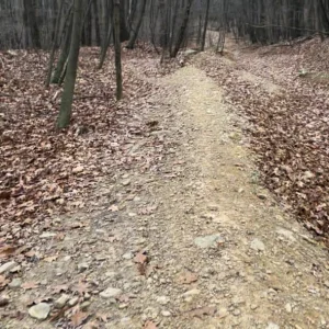 TowerRouteTrail1.PNG
