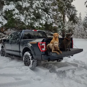 f150tremor-2023totm.jpg