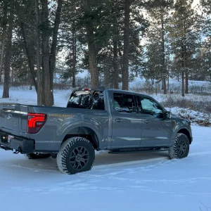 TOTM Entry 2025_02.webp