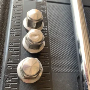 old lugs.webp