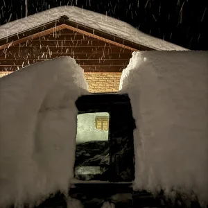 Snow 1.webp