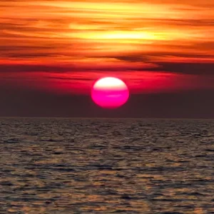 20260730_183652.webp