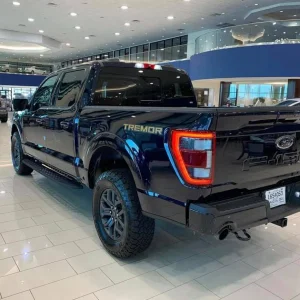 antimatter-blue-f150-tremor-2.jpg