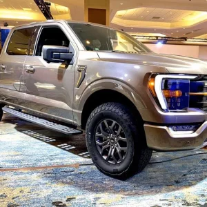 stonegray-f150tremor1.jpg
