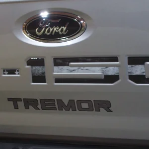 Tremor3.webp