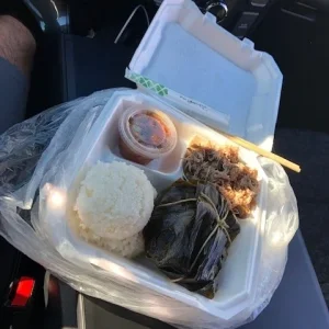 Yamas plate Lunch.jpg
