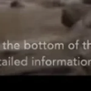 Screenshot from 2021-12-15 22-23-40.png