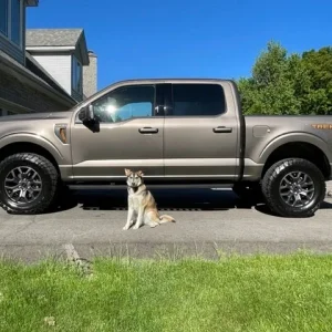 truck.jpg