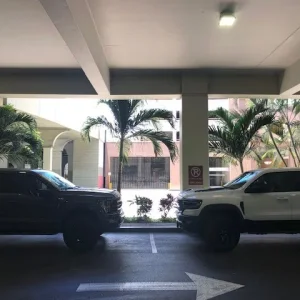 Tremor vs TRX 2.jpg