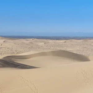20220915_084349.jpg