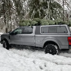 christmas-tree-tremor.jpg