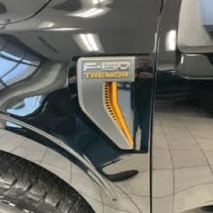 T-F150 Tremor Emblem.jpg