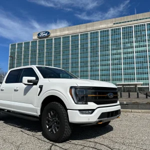 MicrosoftTeams-image (8).jpg