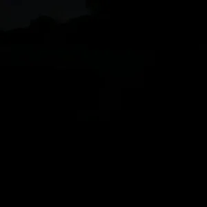 IMG_4491.mov