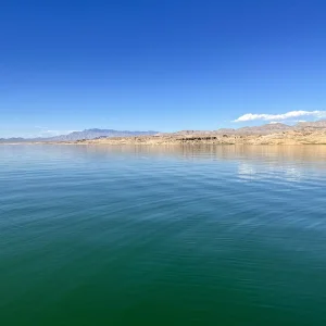 71003416837__C9656680-578A-4A43-9266-DA3D8BAF4421.jpeg