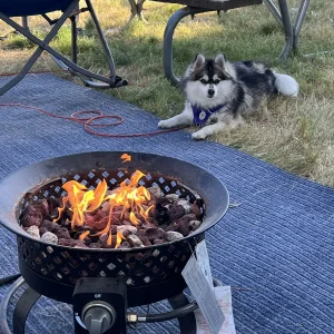 Loki.camping.jpg