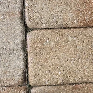 20230806_173514.mp4