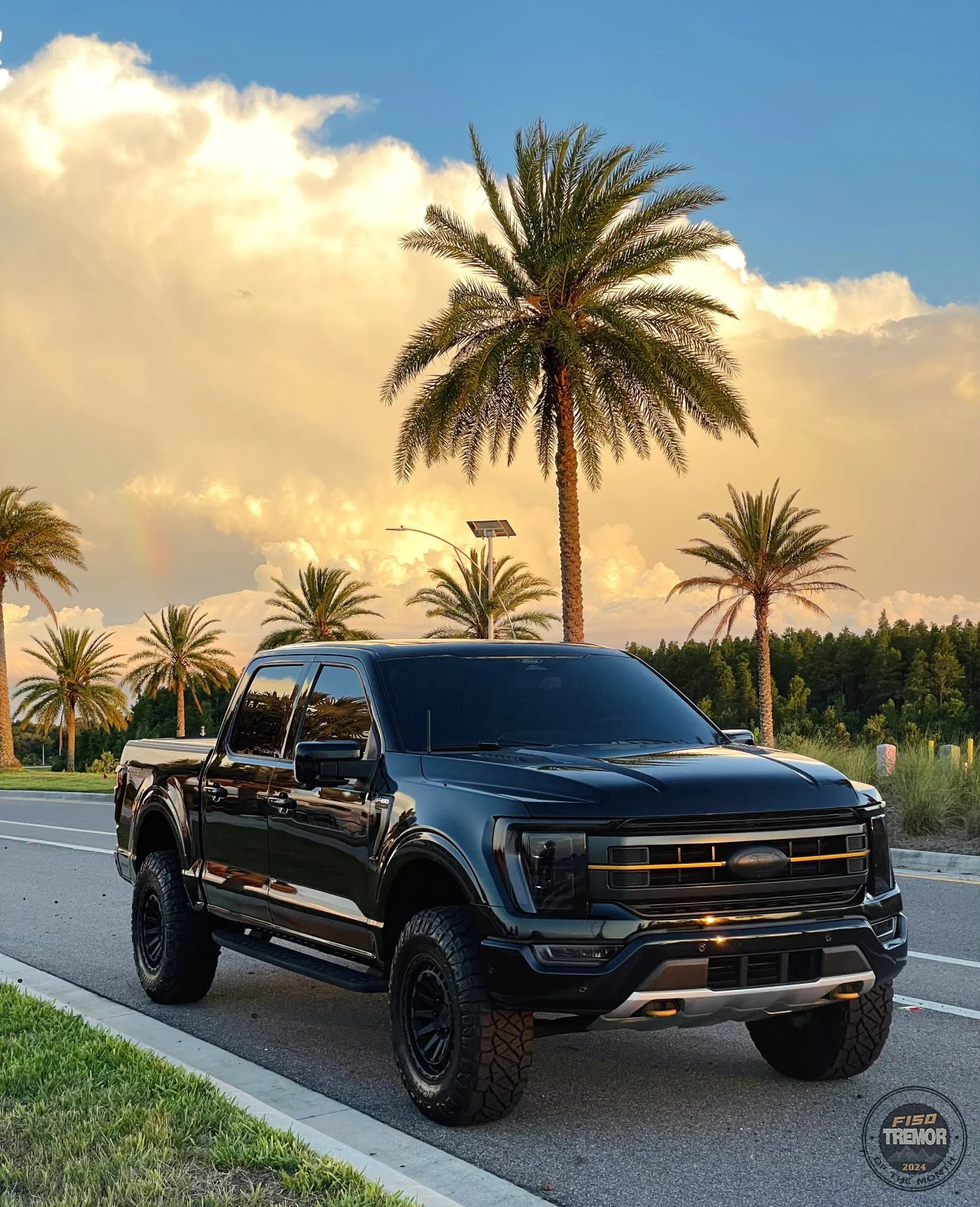 F150_Tremor_June2024.jpg